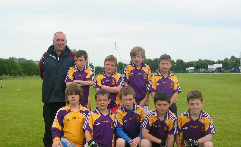 Hughie Kelly Memorial Primary Schools Cup