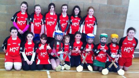 Cumann na mBunscol Indoor Hurling and Camogie in Clonoe