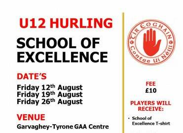 Hurling School of Excellence starting this Friday